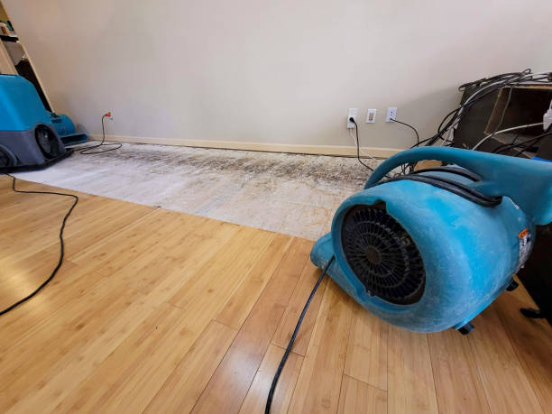 Professional Structural Drying technician working in Angola, LA